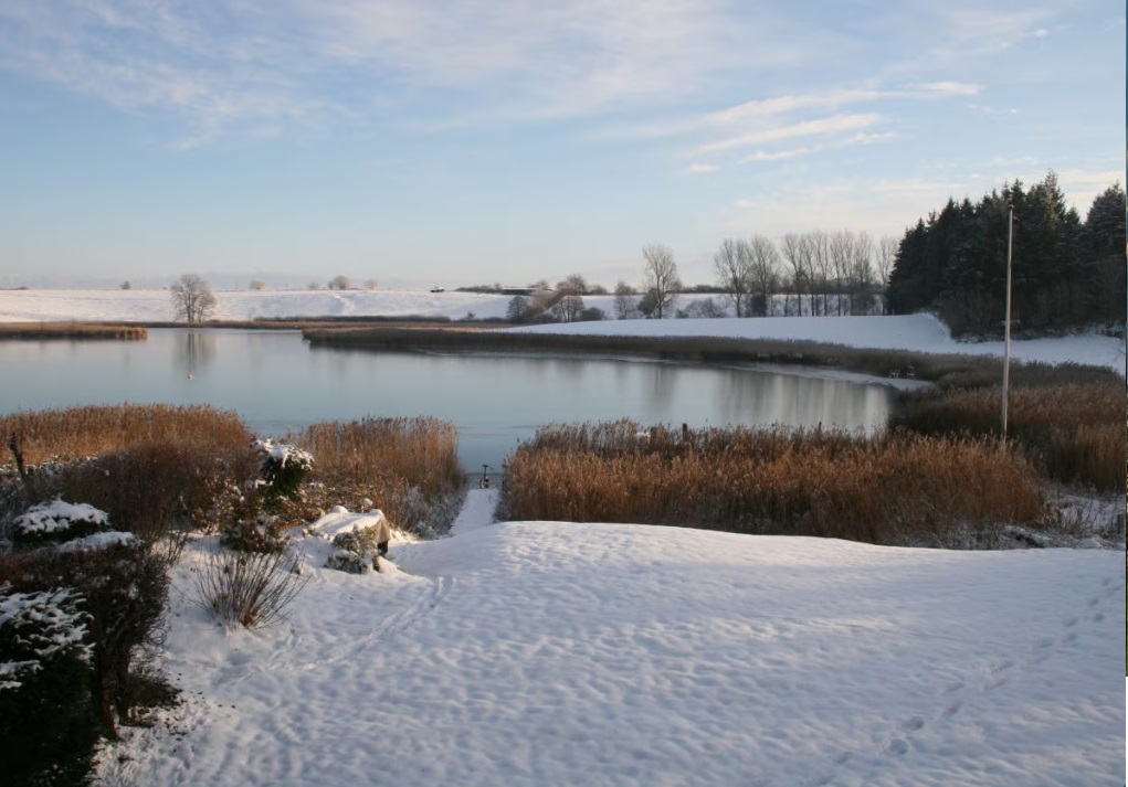 Die Schlei im Winter